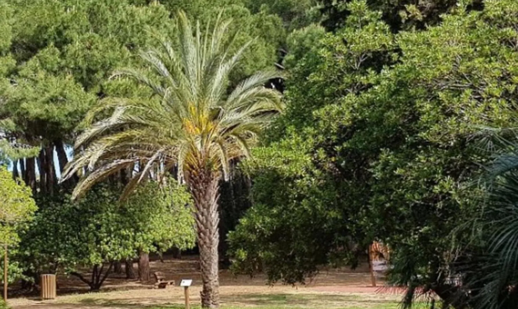 Beautiful Apartment In The Center Of Town Sainte-Maxime